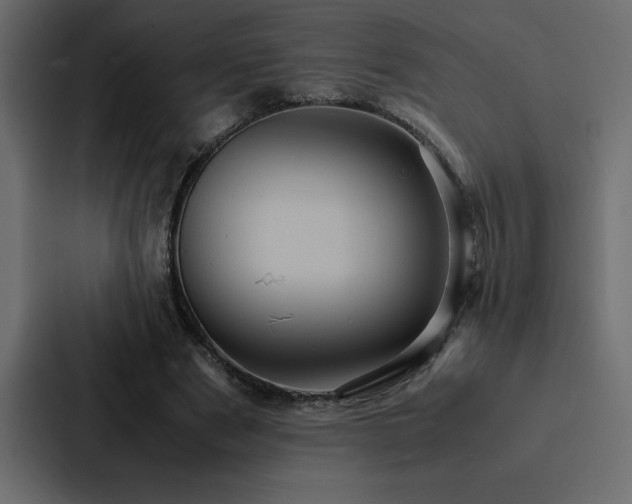 X0000088230489200705151456