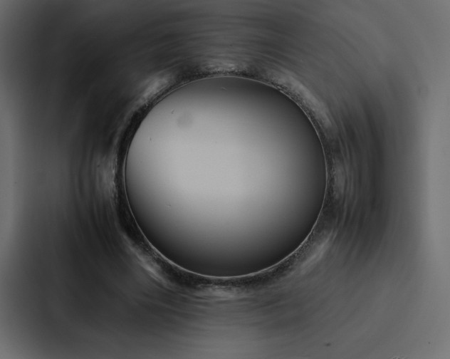 X0000088230490200705151456