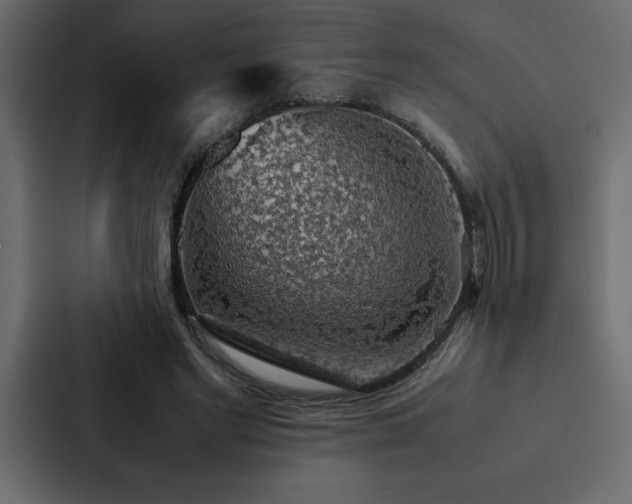 X0000088230493200705151456