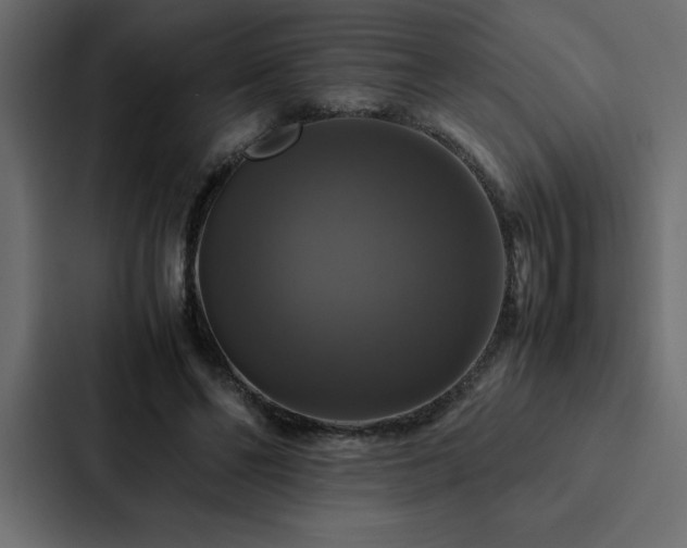 X0000088230494200705151455