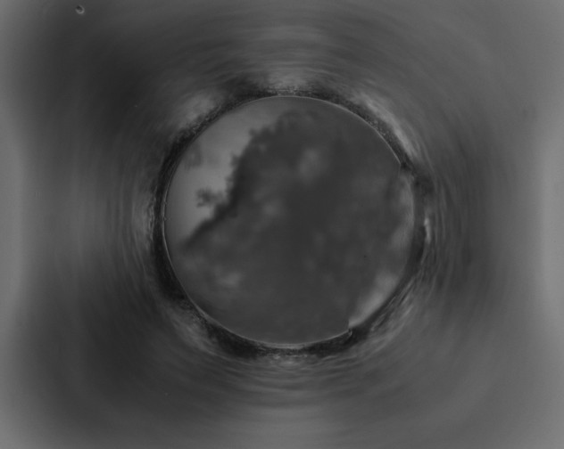 X0000088230495200705151455