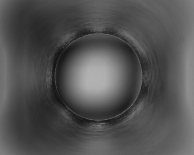 X0000088230497200705151455