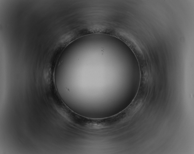 X0000088230498200705151455