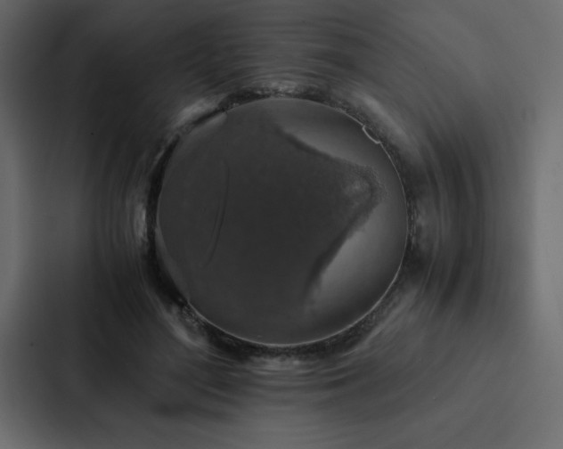 X0000088230500200705151455