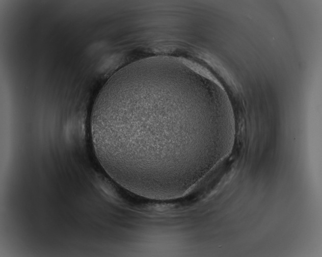 X0000088230501200705151455
