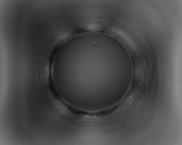 X0000088230502200705151455