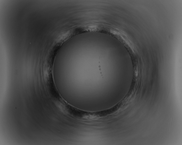 X0000088230503200705151455