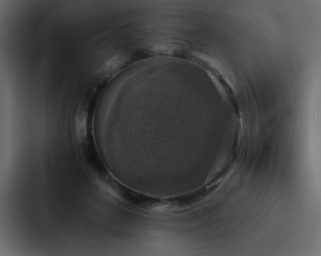 X0000088230504200705151455