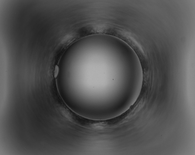 X0000088230505200705151455