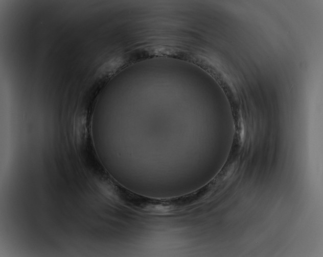 X0000088230506200705151455