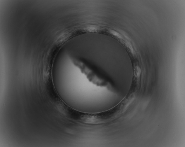 X0000088230507200705151455