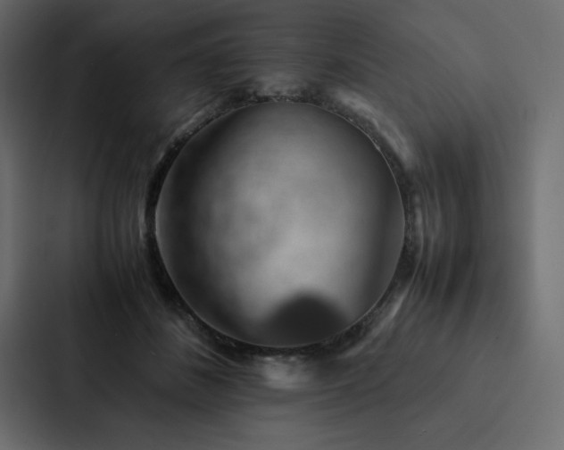 X0000088230508200705151455