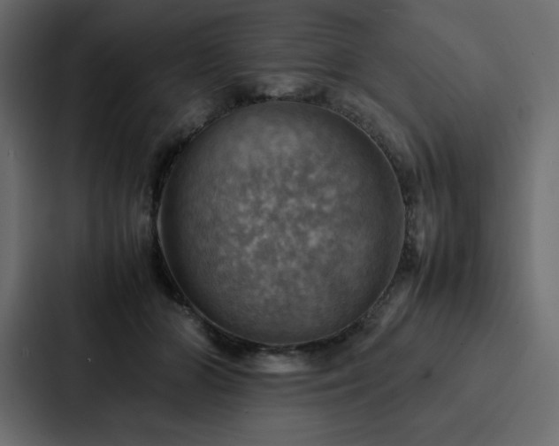 X0000088230510200705151455