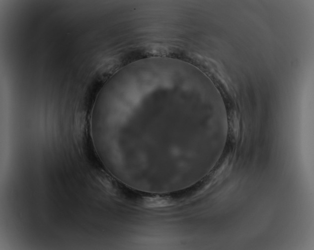 X0000088230511200705151455