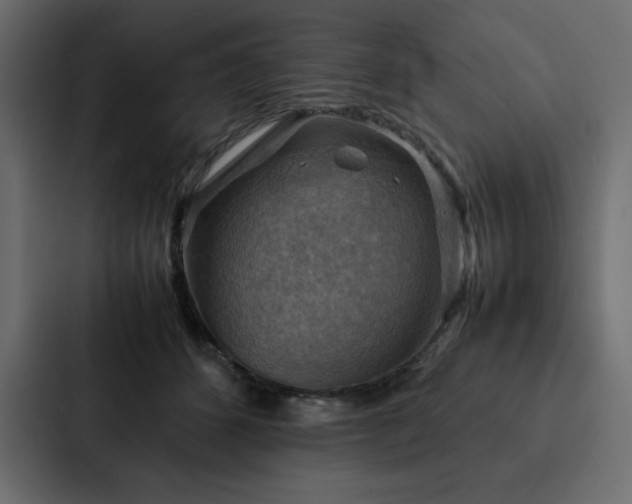 X0000088230512200705151455