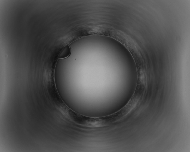X0000088230514200705151455