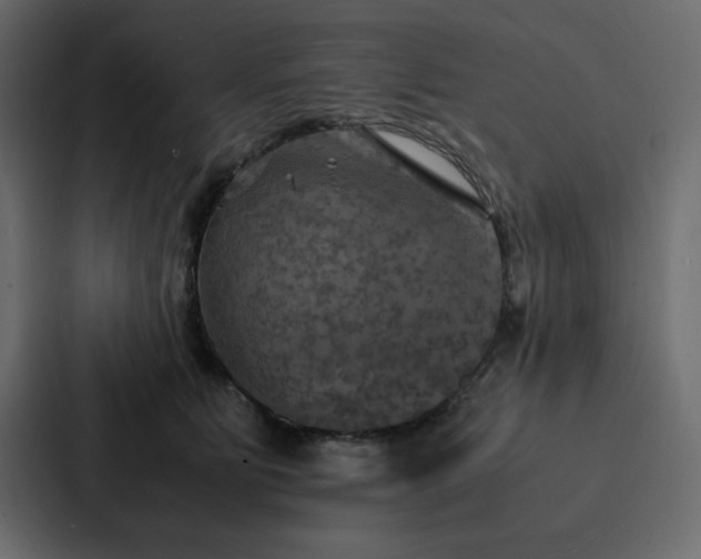 X0000088230515200705151455