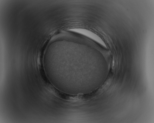 X0000088230516200705151455
