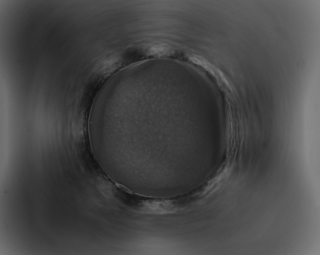 X0000088230517200705151455