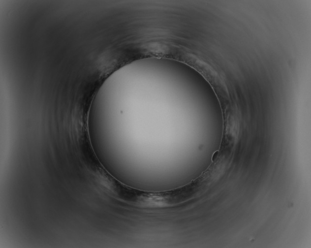 X0000088230518200705151455