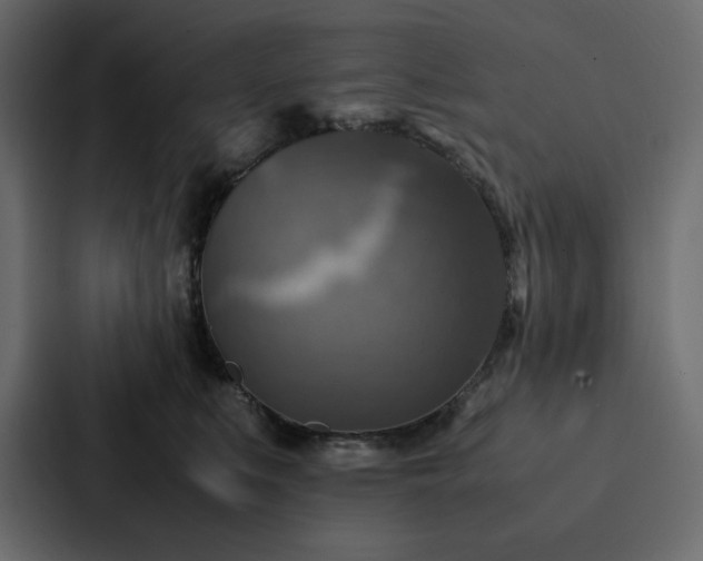 X0000088230519200705151455