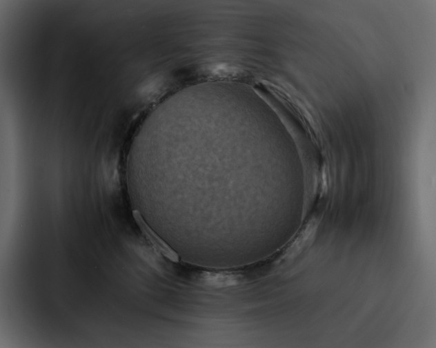 X0000088230520200705151455