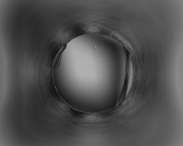 X0000088230521200705151455