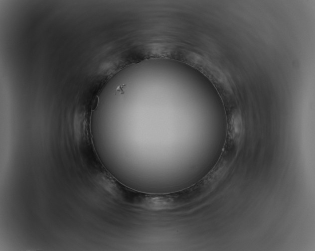 X0000088230522200705151455