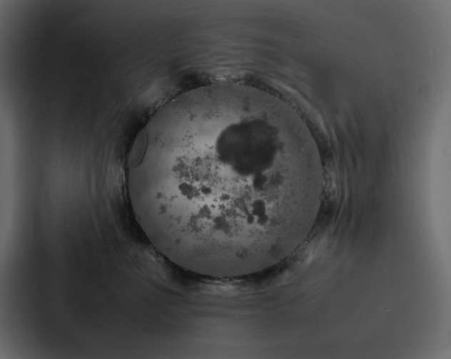 X0000088230523200705151455