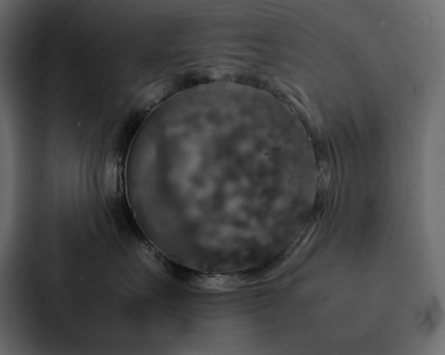X0000088230527200705151455