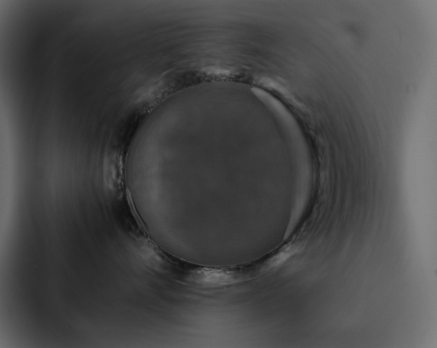 X0000088230528200705151455