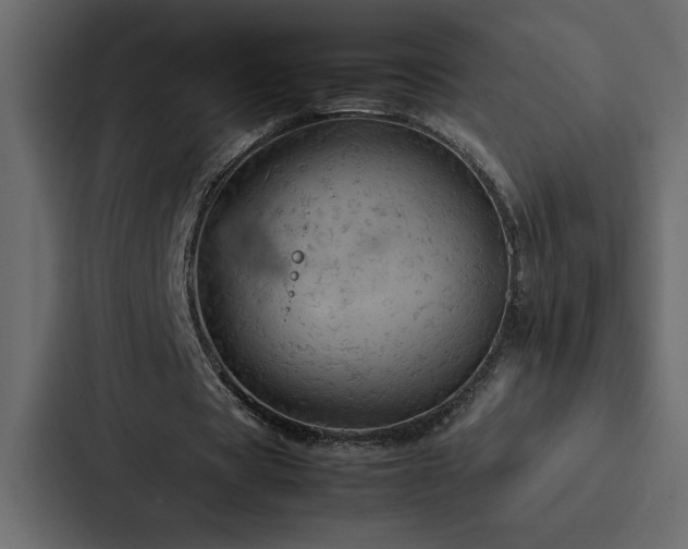 X0000088230529200705151454