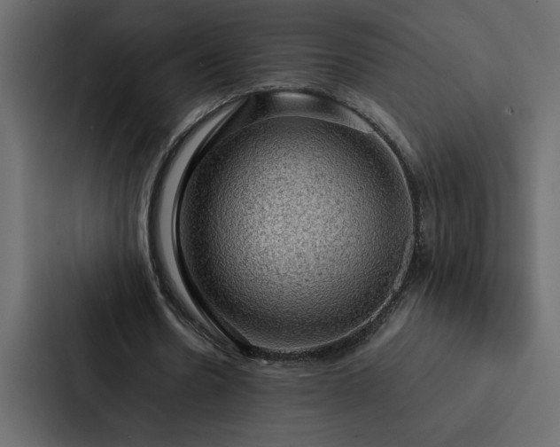 X0000088230530200705151454