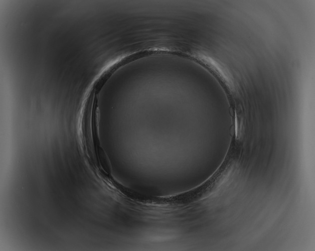 X0000088230531200705151454