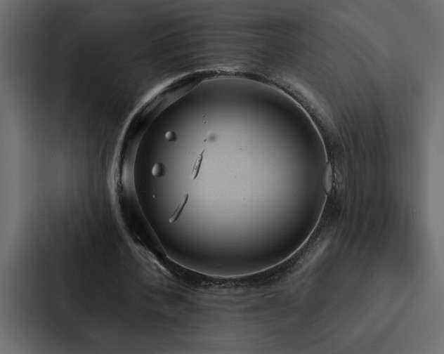 X0000088230532200705151454