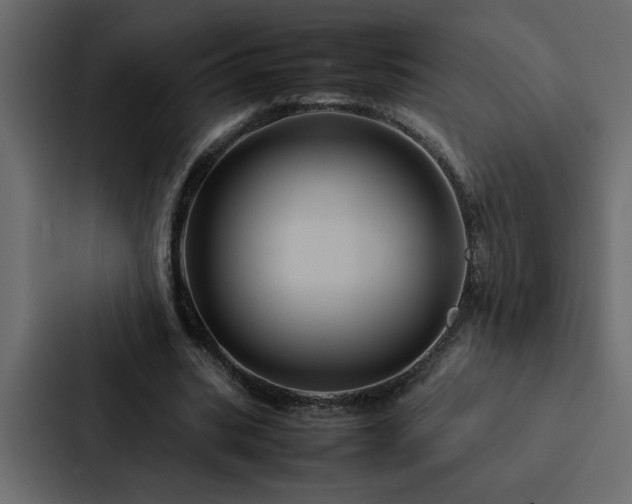 X0000088230535200705151455