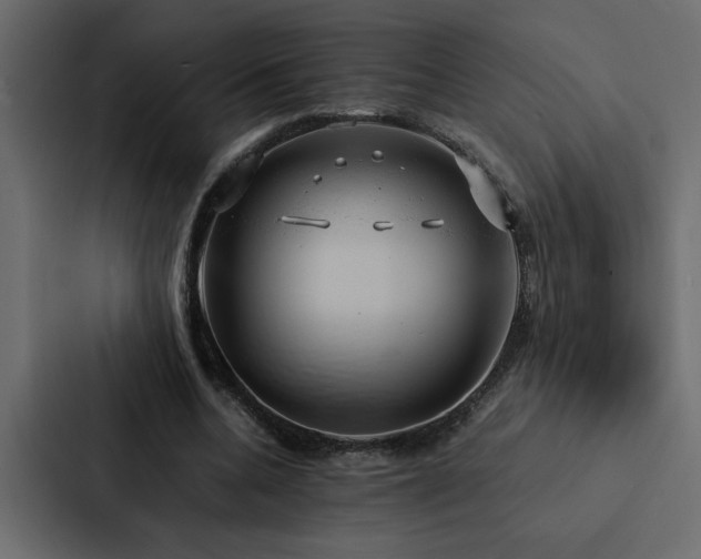 X0000088230536200705151455