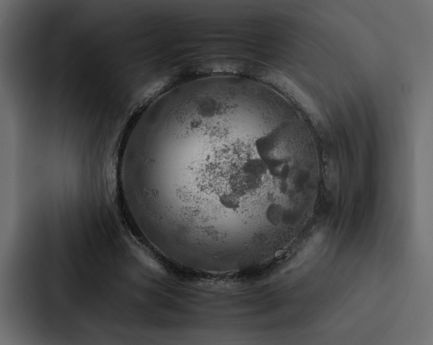 X0000088230537200705151455