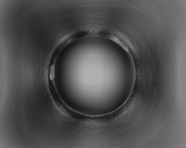 X0000088230538200705151455