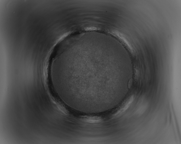 X0000088230539200705151455