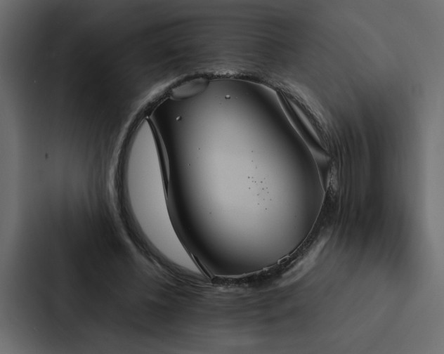 X0000088230540200705151455