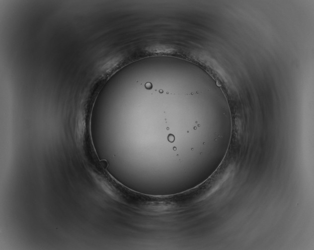 X0000088230541200705151455