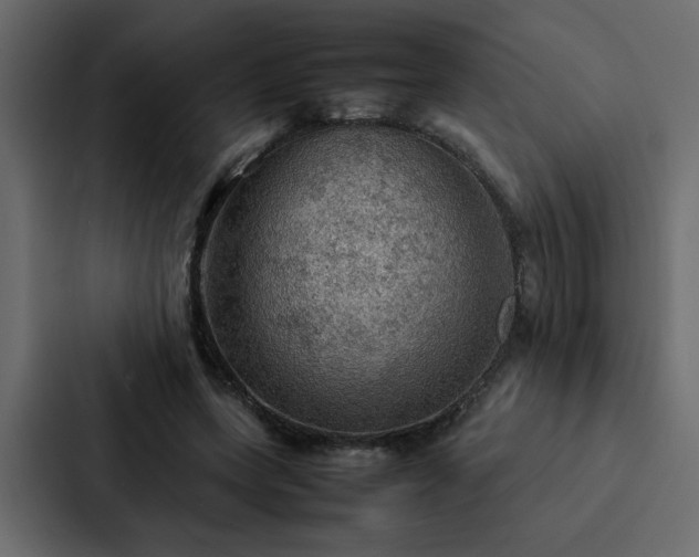 X0000088230543200705151455