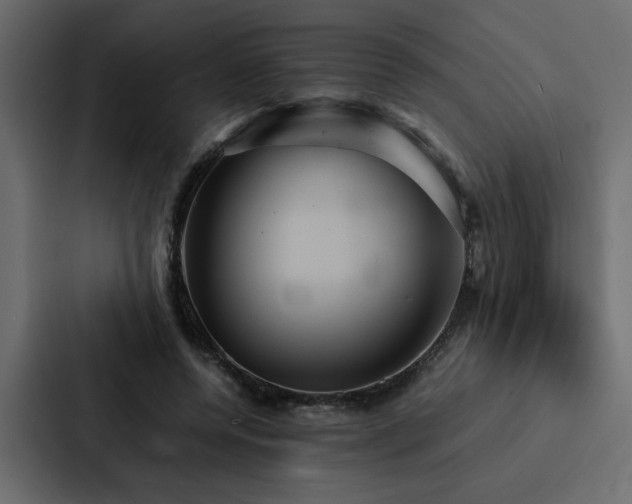 X0000088230544200705151455
