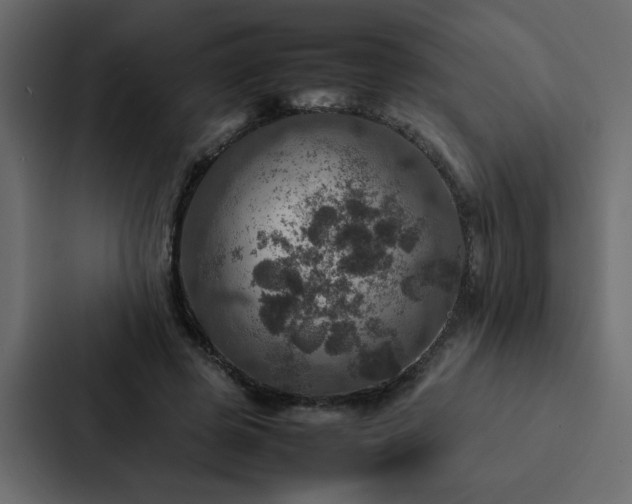 X0000088230545200705151455