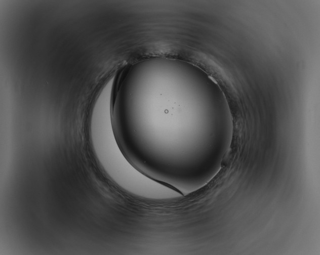 X0000088230546200705151455
