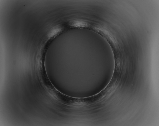 X0000088230547200705151455