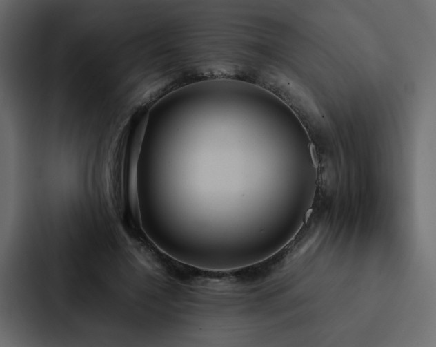 X0000088230548200705151455