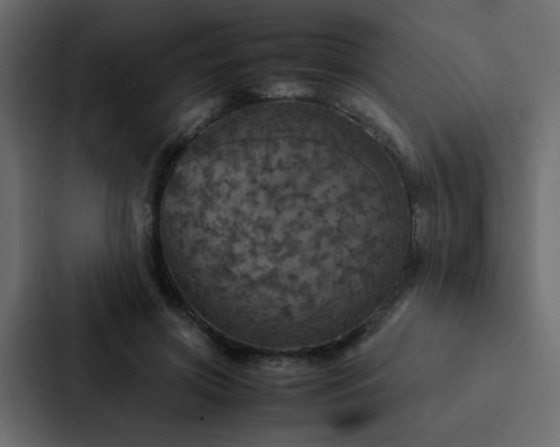 X0000088230549200705151455