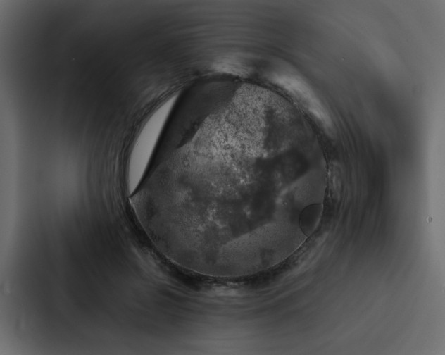 X0000088230550200705151455